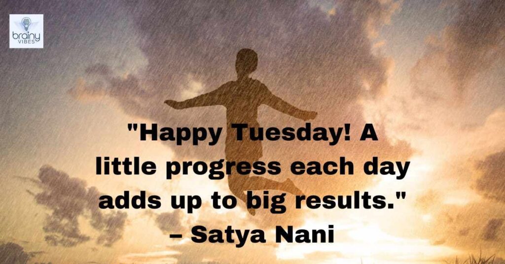 Satya Nani quotes